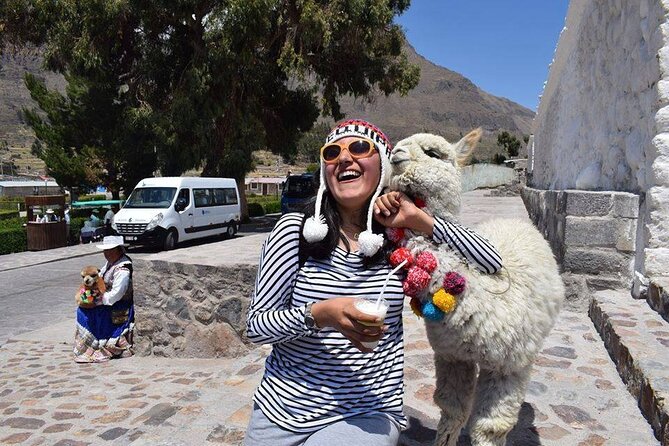 Colca Full Day - Salinas and Aguada Blanca’s wide-open scenery