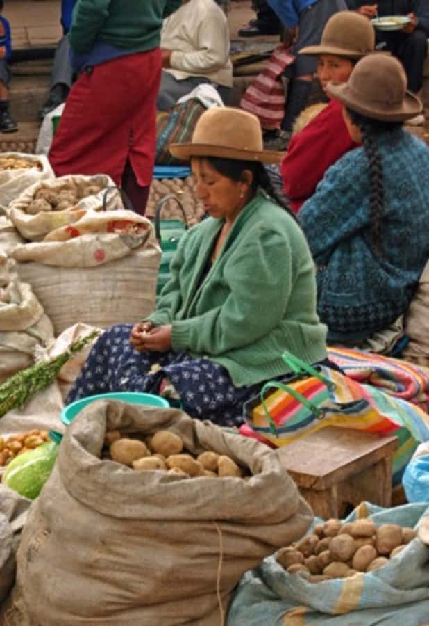 Cusco: 3-Hour Peruvian Cooking Class - Preparing ceviche, the class signature