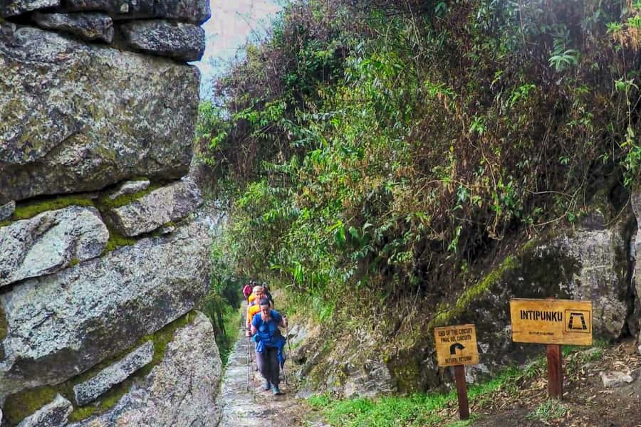 Cusco: 4-Day Inca Trail to Machu Picchu with Accommodation - Day 1: Abra Málaga to the forest eco-house