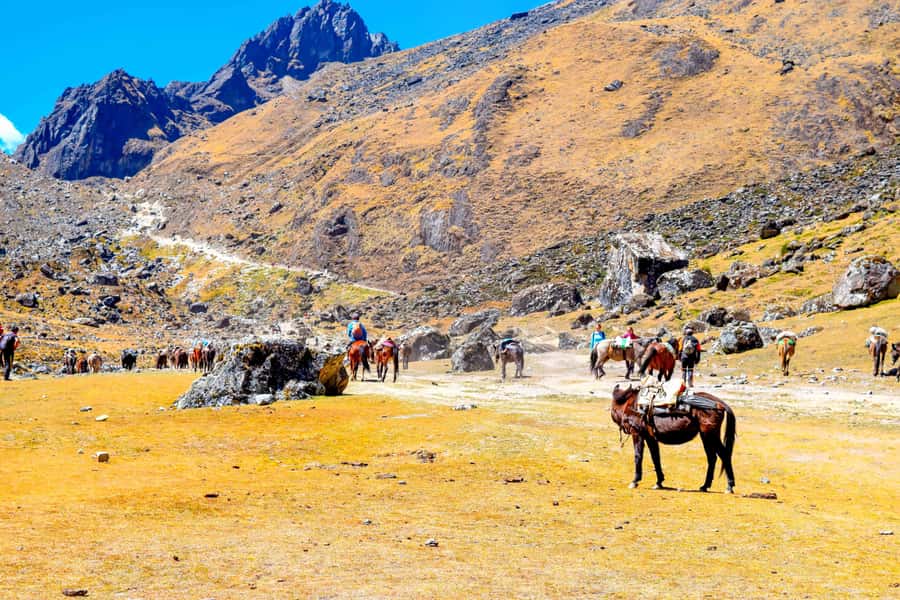 Cusco: 5-Day Salkantay Ultimate Trek to Machu Picchu - Who should book this Salkantay trek