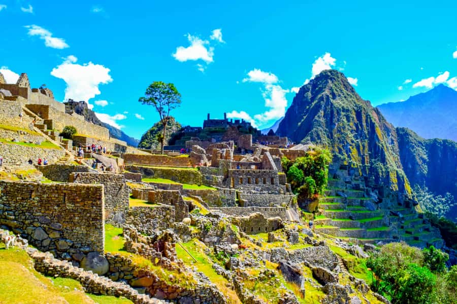 Cusco: 5-Day Salkantay Ultimate Trek to Machu Picchu - Day 3: From mountain air to cloud forest