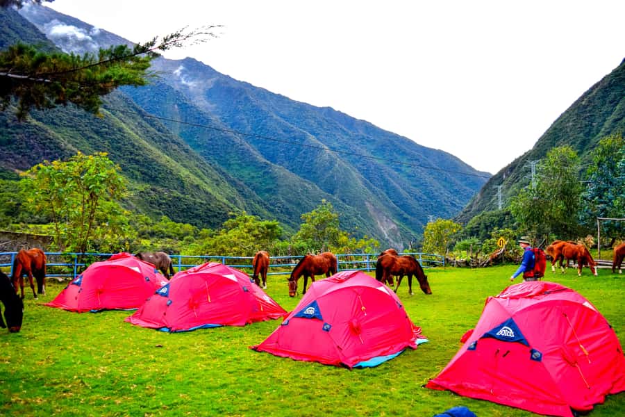 Cusco: 5-Day Salkantay Ultimate Trek to Machu Picchu - Camping, meals, and what the support team changes