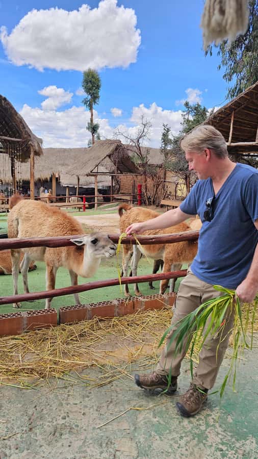 Cusco: Alpaca and Llama Farm Tour w/ Transfer & Weaving Demo - Why this farm visit works well near Cusco