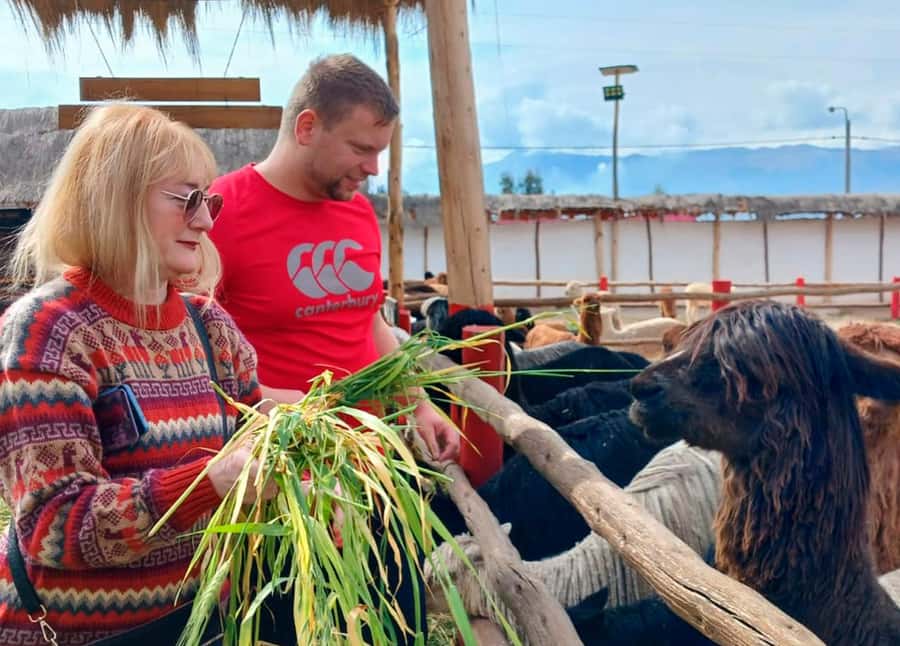 Cusco: Archeological Sites Tour and Forest Photo Experience - What the $17 price really buys you