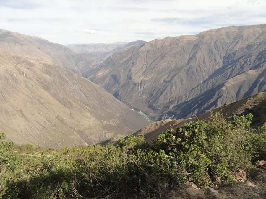 Cusco: Chonta Canyon and Condor Flight Tour with Lunch - Why the condors make Chonta Canyon worth the long day