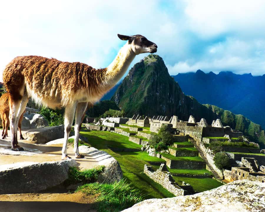CUSCO: Full Day All Included Private Machu Picchu Experience - Practical preparation for a smoother day