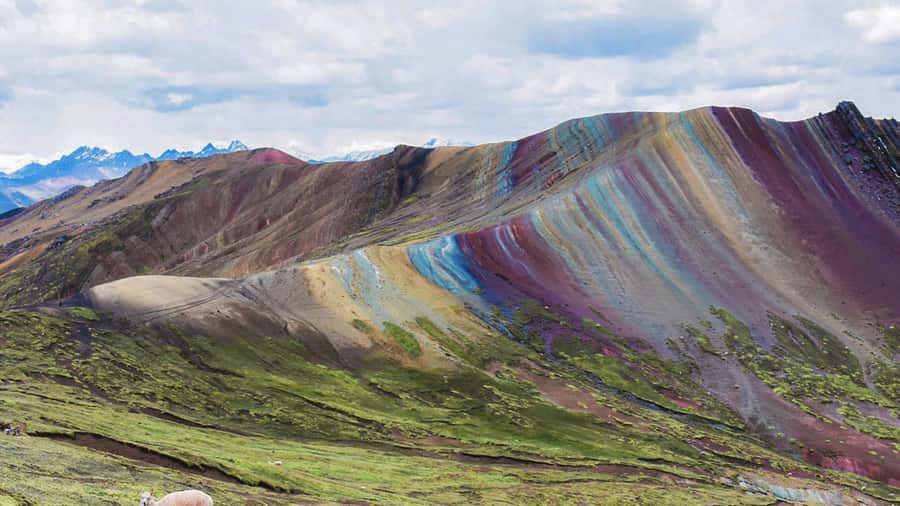 Cusco : Full day Palcoyo Mountain of colors - Why Palcoyo is worth considering from Cusco
