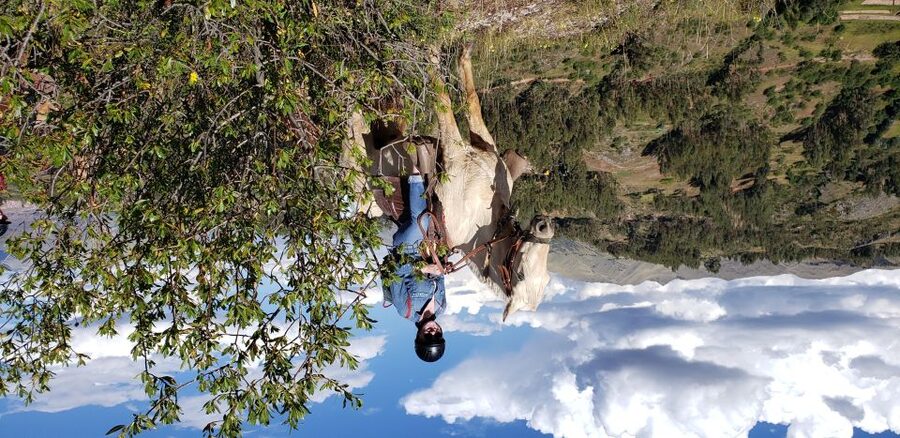 Cusco: Half-Day Horseback Riding at Devil's Balcony - Who should book this ride?