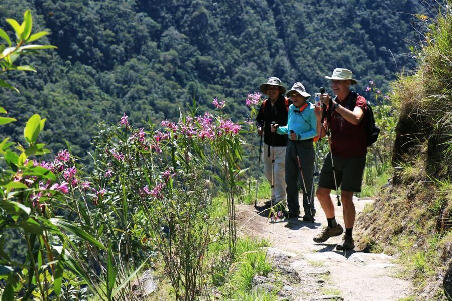 Cusco: Machu Picchu 2-Day Inca Trail with Panoramic Train - Returning on the Vistadome train