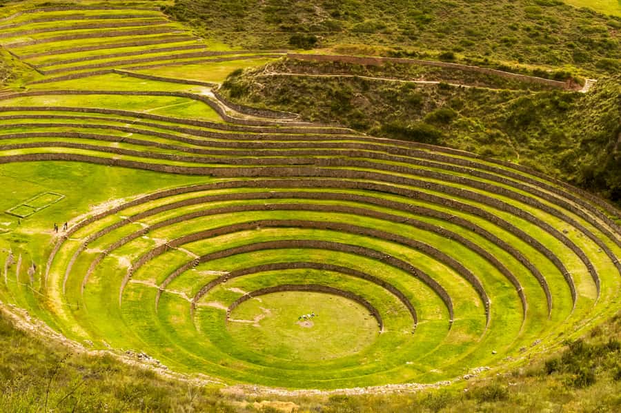 Cusco: Maras and Moray Tour ending in Ollantaytambo - Pace, guiding, and what to watch for