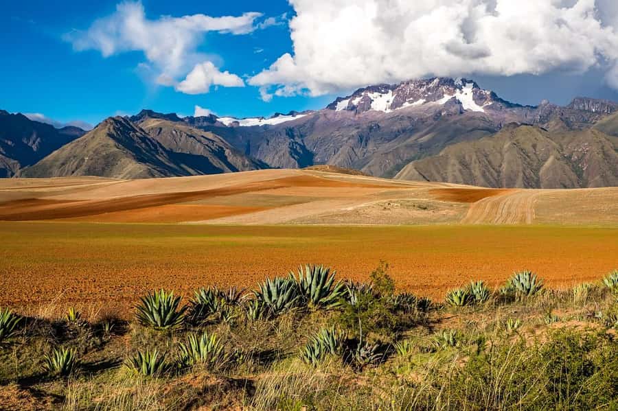 Cusco: Moray, Maras Salt Mines, and Chinchero Weavers Tour - Transport, timing, and the end at Plaza Regocijo