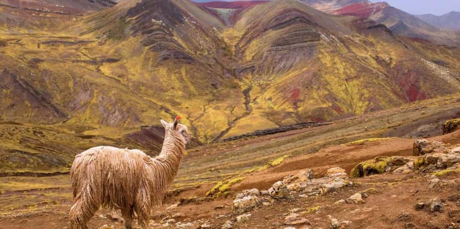 Cusco : Palcoyo - Rainbow Mountain Hidden Sister - The 5:00 a.m. departure from Cusco