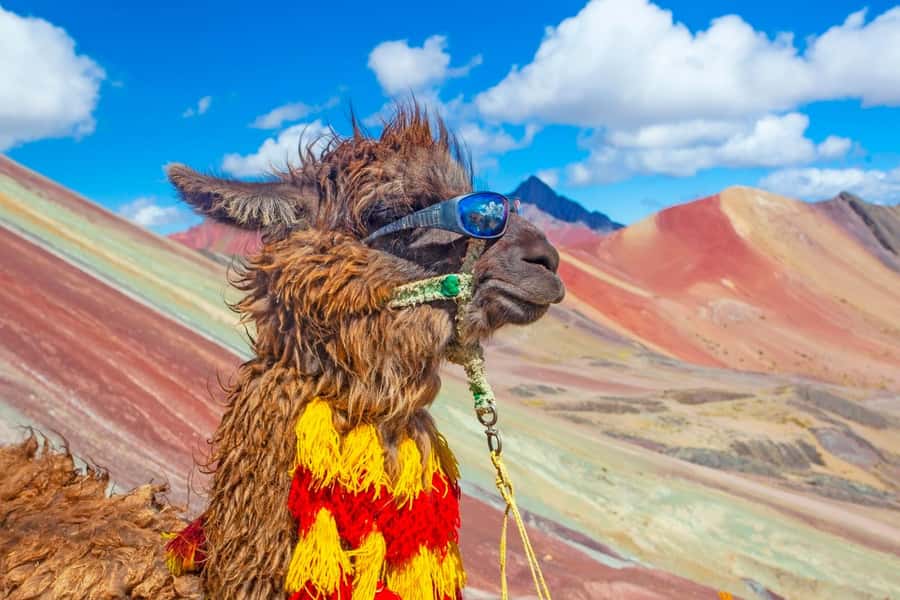Cusco : Rainbow Mountain and Red Valley Tour - The 4:00 a.m. pickup sets the pace