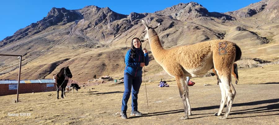 Cusco: Rainbow Mountain & Red Valley Tour with Picnic meals - What the $198 price includes
