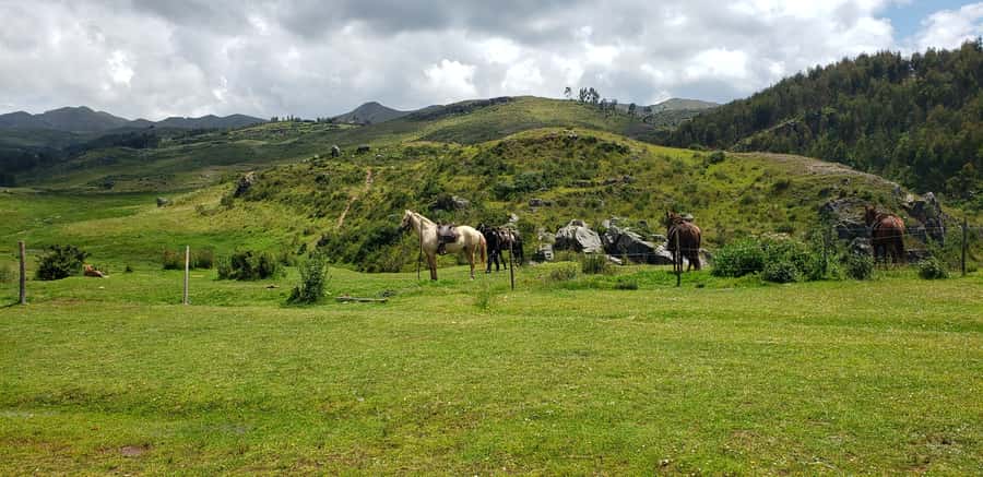Cusco: Sacsayhuaman Guided Tour and 1-Hour Horseback Ride - Guides, language, and group comfort