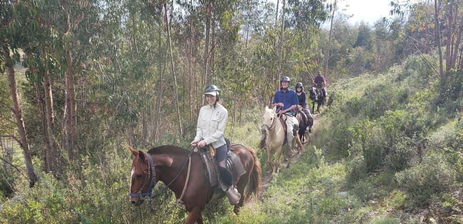 Cusco: Sacsayhuaman Guided Tour and 1-Hour Horseback Ride - One hour on horseback near 3,800 meters