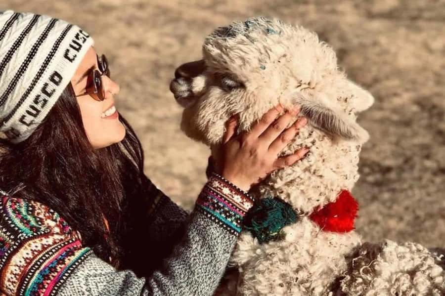 Cusco: Sacsayhuaman, Qenqo, Puca Pucara & Tambomachay Tour - Why this four-site Cusco tour works well