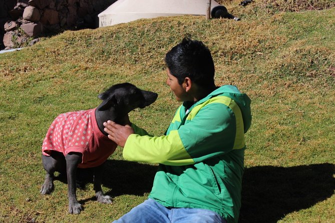 Cusco Santuario de Animales Rescatados en Cusco - How much time you really need