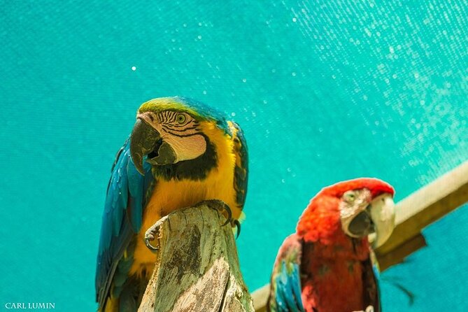Cusco Santuario de Animales Rescatados en Cusco - Pickup, drop-off, and practical planning