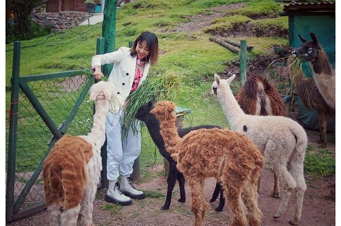 Cusco Santuario de Animales Rescatados en Cusco - Who will enjoy this most