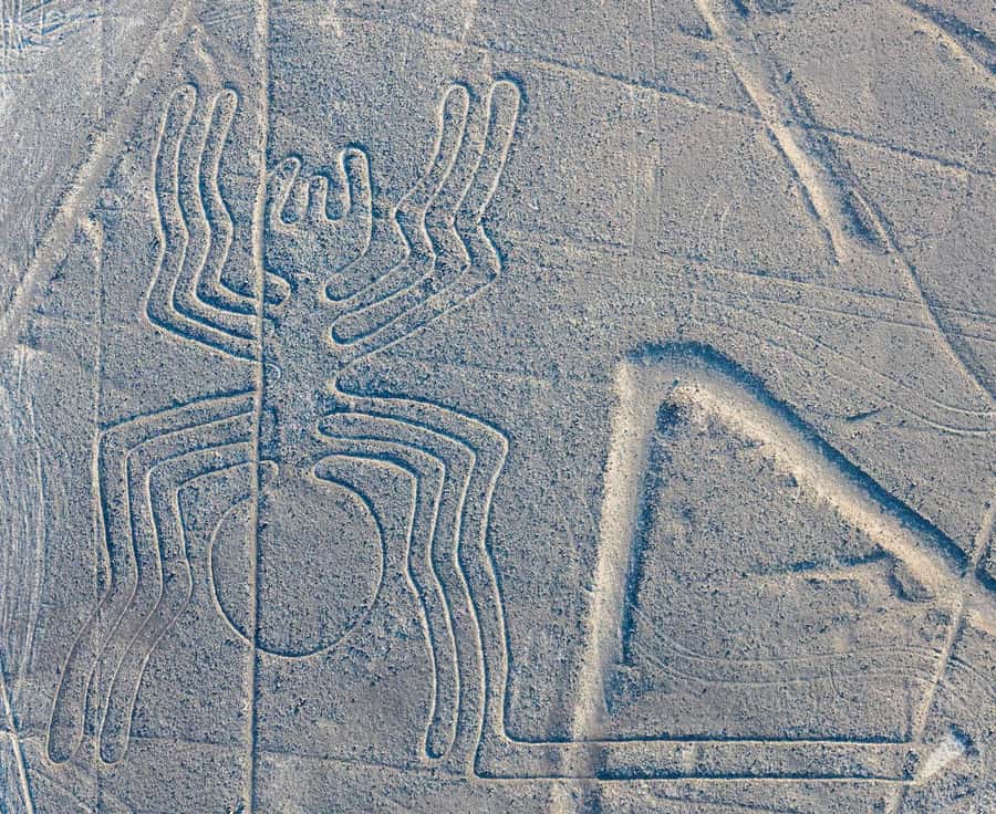 Discover Paracas, Ica and Nasca in a 2 days and 1 night trip - Seeing the Nasca Lines from Maria Reiche Aerodrome