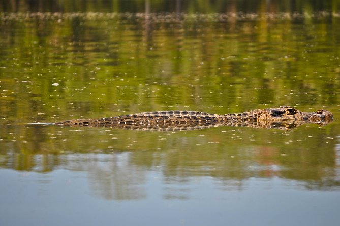 Eco Jungle 3 Days - 2 Nights - Who should book this Amazon trip?