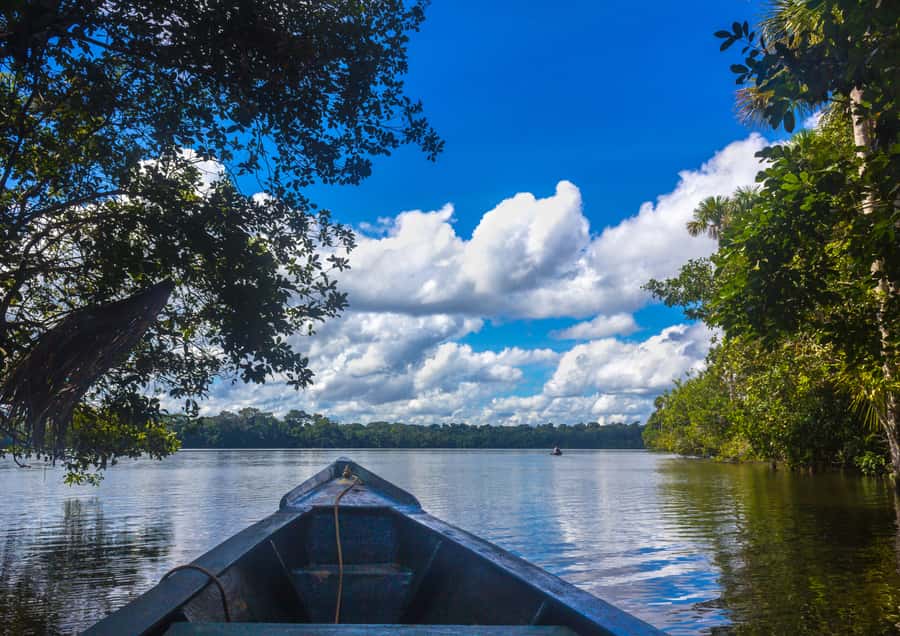Excursion 3 days/2 nights in the jungle - Key points to know before booking