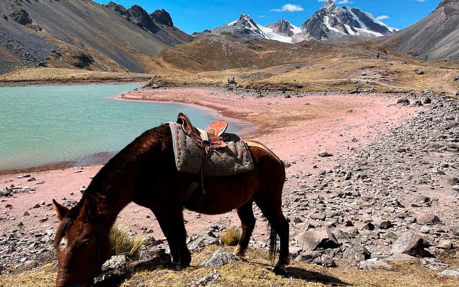 Excursion: Explore in one day the 7 lakes of Ausangate from Cusco - The seven-lake trail near Ausangate