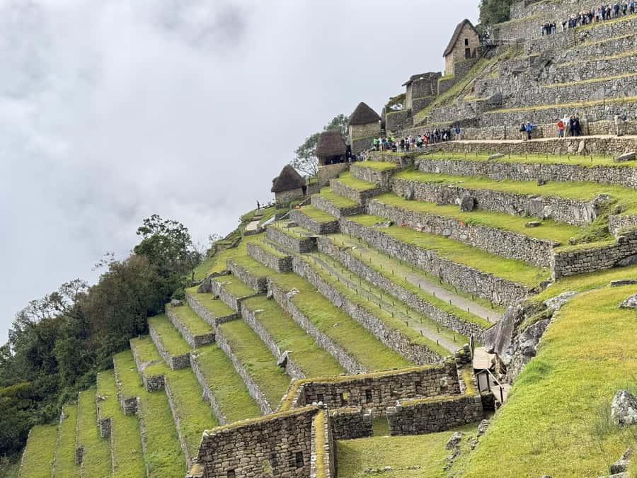 Excursion from Cusco to Machu Picchu + Entrance Tickets Incl - The long journey back to Cusco