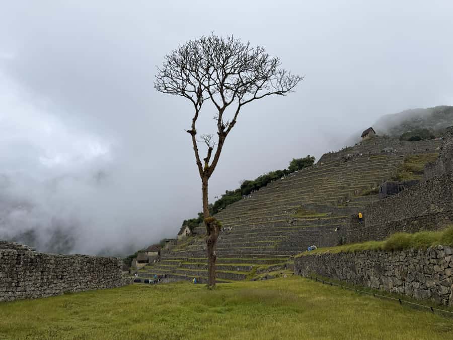 Excursion from Cusco to Machu Picchu + Entrance Tickets Incl - What the guides and organization are like