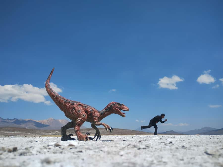 Excursion: Lagoon and National Reserve of Salinas and Aguada Blanca in Arequipa. - A long day from Arequipa to the high Andes