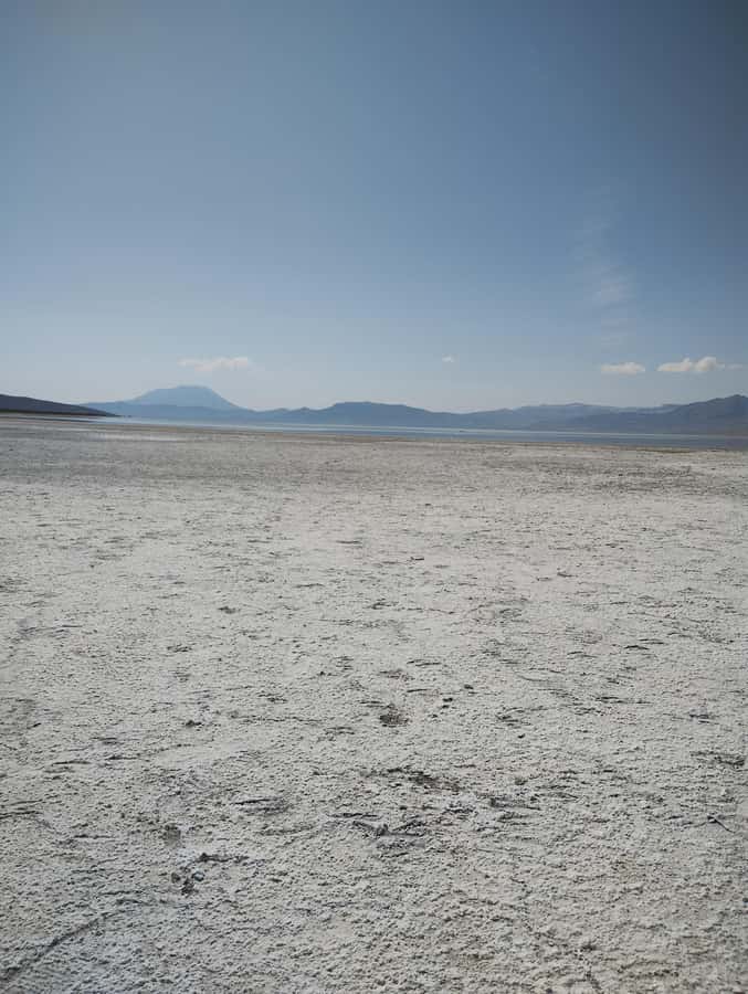 Excursion: Lagoon and National Reserve of Salinas and Aguada Blanca in Arequipa. - Chiguata’s terraces set the scene