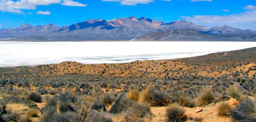Excursion Salinas Lagoon and National - Key points to know before booking