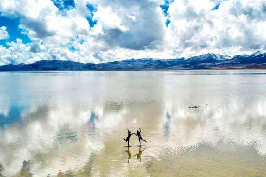 Excursion Salinas Lagoon and National - Why Salinas Lagoon makes a strong half-day trip from Arequipa