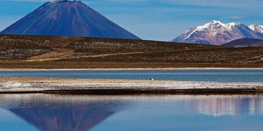 Excursion Salinas Lagoon and National - Breakfast and volcano views around Chiguata