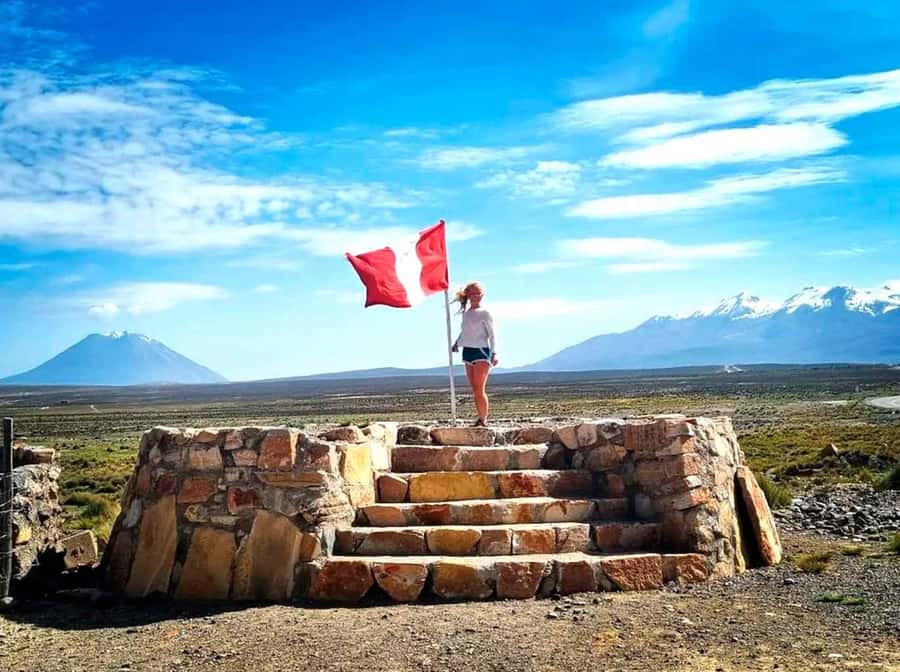 Excursion Salinas Lagoon and National - Camelids and high Andean birds at 11 a.m.