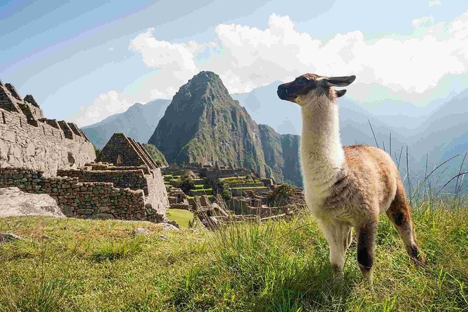 Excursion to MachuPicchu from Cusco with lunch | Private Service| - Who will enjoy this day trip