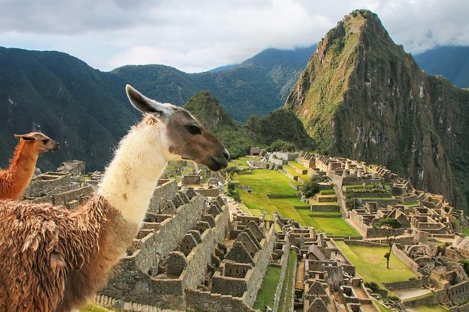 Excursion to MachuPicchu with Train Vistadome Full Day - Two and a half hours inside Machu Picchu
