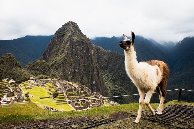 Excursion to MachuPicchu with Train Vistadome Full Day - Free time, lunch, and the trip home