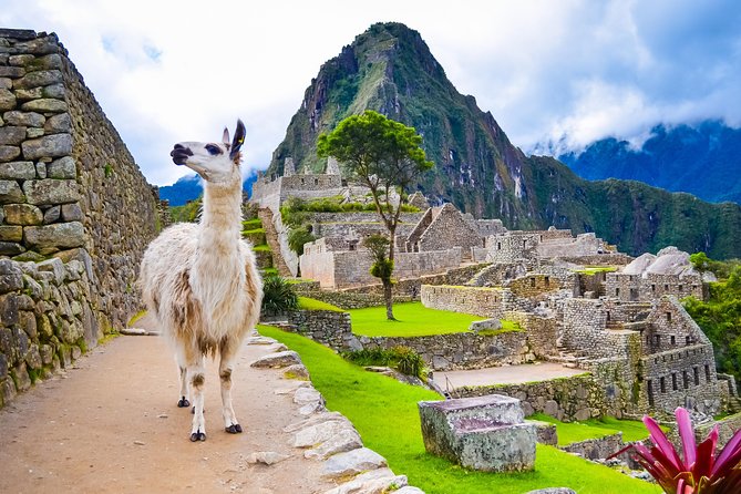 Excursion to MachuPicchu with Train Vistadome Full Day - What the $403.75 price really buys