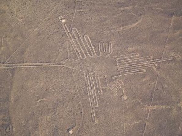 Flight Over the Nazca Lines from Pisco + Huacachina Oasis - Key points to know before booking