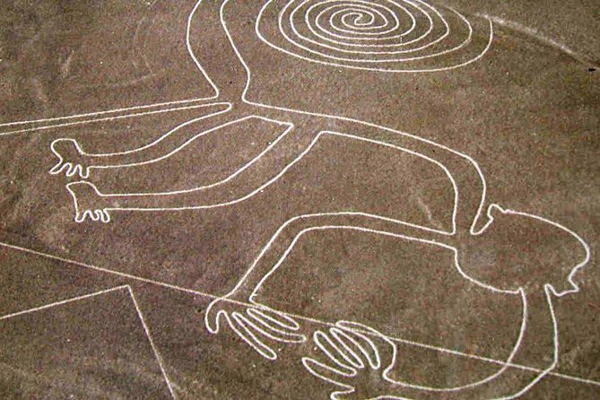 Flight Over the Nazca Lines from Pisco + Huacachina Oasis - Who should choose this long desert day?