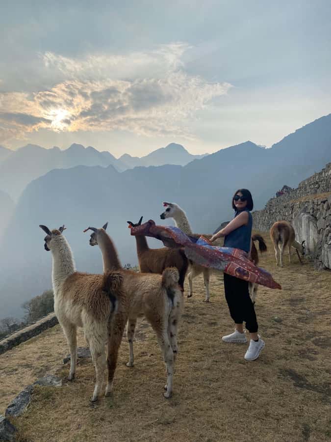 From Aguas Calientes: Machu Picchu guided tour with tickets - Meeting your guide in Aguas Calientes