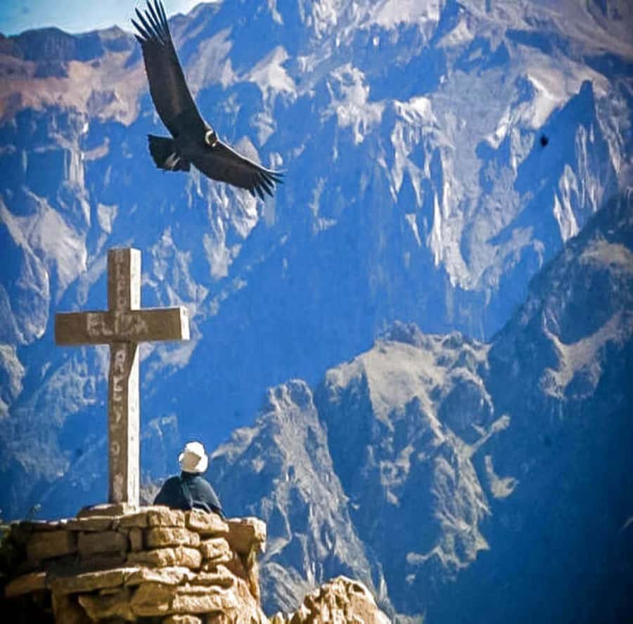 From Arequipa: 2-Day Colca Canyon Tour with Transfer to Puno - Key points to know before booking