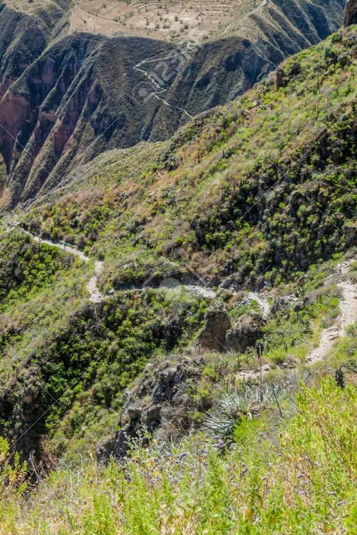From Arequipa: 2-Day Colca Canyon Trekking Tour - What the $30 price really means