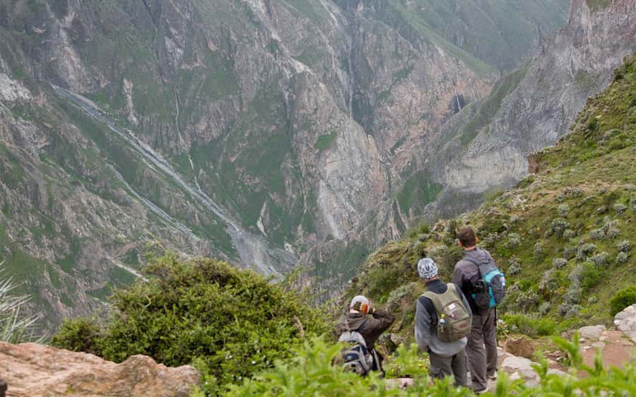 From Arequipa: 2-Day Colca Canyon Trekking Tour - 3:00 a.m. pickup and breakfast in Chivay
