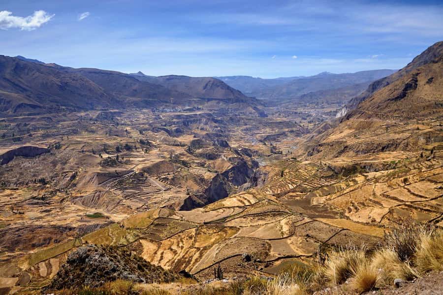 From Arequipa: Colca Canyon and Condor Watching Day Trip - Maca and its traditional village setting