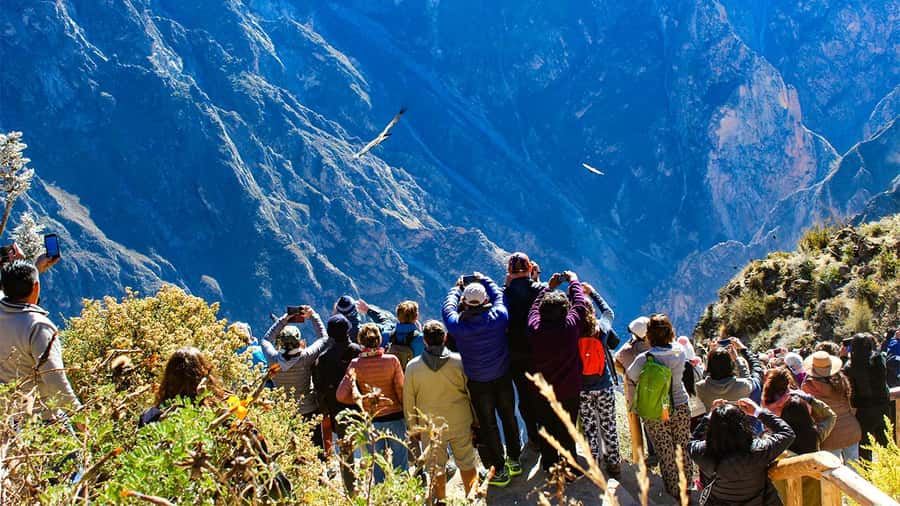 From Arequipa: Colca Canyon Day Trip with Transfer to Puno - Why this Colca Canyon day is worth considering