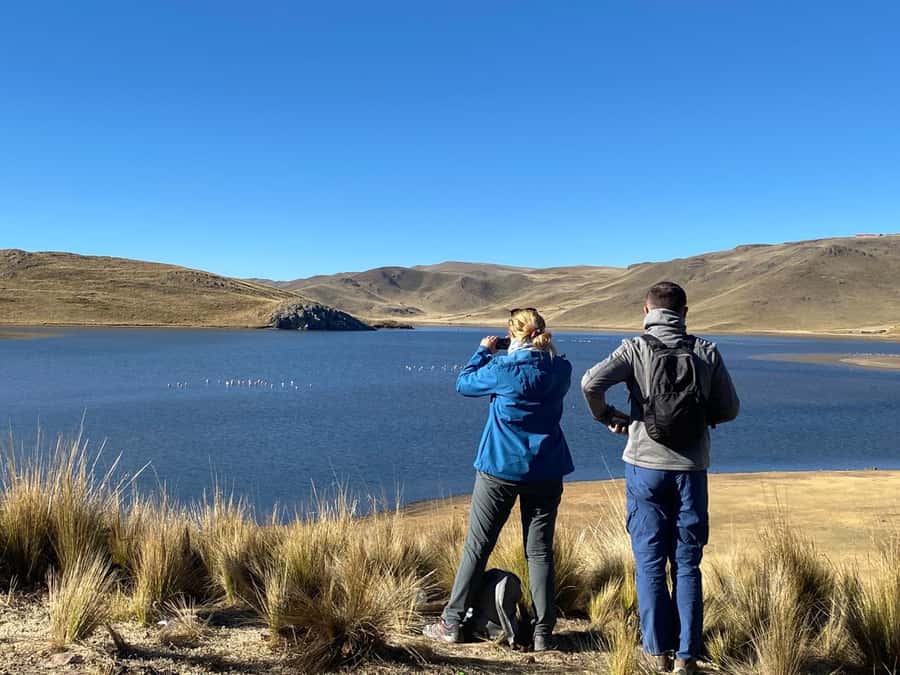 From Arequipa: Colca Canyon Day Trip with Transfer to Puno - Cruz del Cóndor and the great canyon view