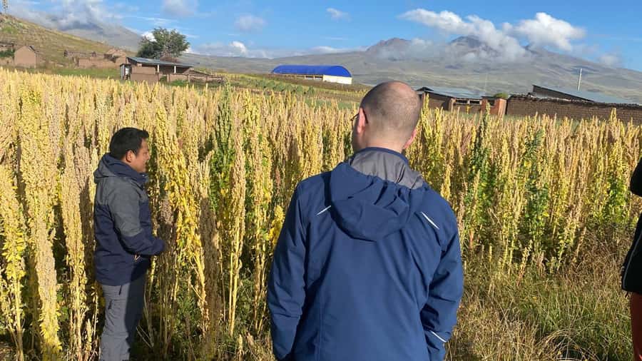 From Arequipa: Colca Canyon Day Trip with Transfer to Puno - Chacapi hot springs and lunch in Chivay